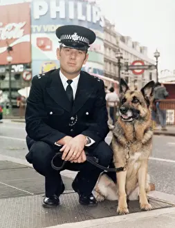 Prints of Uniformed Metropolitan Police dog handler and German Shepherd at Piccadilly Circus, London Police Prints: Metropolitan Police Dog Handler Print, Piccadilly Circus