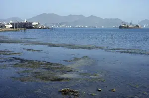 Pollution Print: Abandoned Docks and Rusting Barges