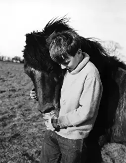 Vintage Horse Illustrations Prints: PONY BOY