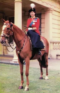 Prints of Queen Elizabeth II (born 1926), pictured on horseback in the uniform of the Grenadier Guards. Date: c.1953 United Kingdom Prints: Queen Elizabeth II in Grenadier Guards Uniform Print c.1953