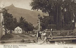 Port Louis, Mauritius - Pouce Stream Port Louis, Mauritius - Pouce Stream