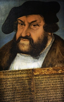 Portrait of John of Saxony (1468-1532) by Lucas Cranach the Portrait of John of Saxony (1468-1532) by Lucas Cranach the