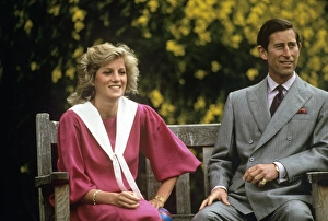 Prince Charles and Princess Diana on a bench Prince Charles and Princess Diana on a bench