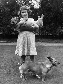 Royalty Prints: Queen Elizabeth II as a Child Playing with Corgis Print 1936