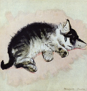 Princess, a kitten, by Muriel Dawson Princess, a kitten, by Muriel Dawson