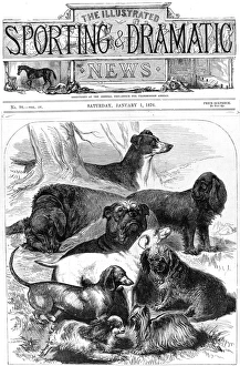 Prize Winning Dogs at the Alexandra Palace Show, 1876 Prize Winning Dogs at the Alexandra Palace Show, 1876
