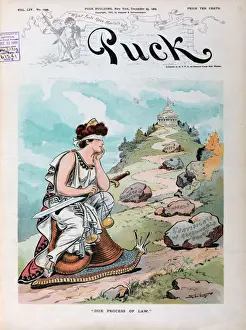 Puck Magazine Illustrations Online Prints: Due process of law