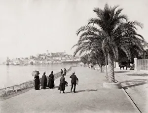 The Promenade de la Croisette, Cannes, France The Promenade de la Croisette, Cannes, France