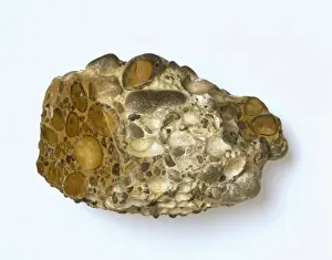 Puddingstone Print: Conglomerate Rock Formation