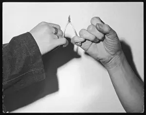 Pulling the Wishbone Print