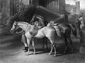 Two pure Arab sires of Queen Victoria Two pure Arab sires of Queen Victoria