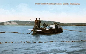 Purse Seinors Catching Salmon, Seattle, Washington, USA Purse Seinors Catching Salmon, Seattle, Washington, USA
