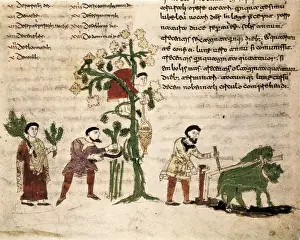 RABANUS, Maurus (c