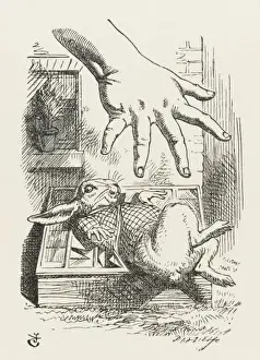Lewis Carroll Original Artwork Prints: Rabbit in Cucumber Frame