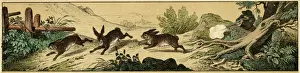 Rabbit Hunting Print, 1880