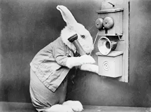 Retro Telephone Design Prints: Rabbiting on the Phone