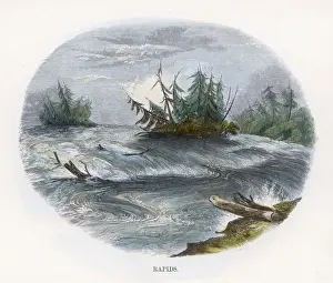 North America Water Features Prints: Rapids (Whimper)