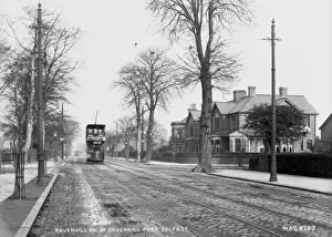 Prints of Ravenhill Rd at Ravenhill Park, Belfast - a view of a tram in a residential road. (Location: Northern Ireland: County Antrim: Belfast). Date: circa early 1900s Belfast Prints: Early 20th Century Print of Ravenhill Rd, Belfast