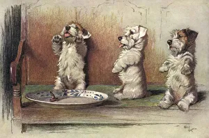 For What We Are About to Receive by Cecil Aldin For What We Are About to Receive by Cecil Aldin