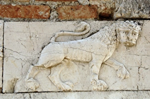 Relief with a lion. Mesopotam. Albania Relief with a lion. Mesopotam. Albania