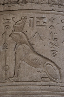 Reliefs representing a falcon-headed sphinx. Temple of Horus Reliefs representing a falcon-headed sphinx. Temple of Horus