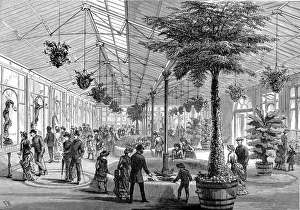 The Reptile House of London Zoo, 1883 The Reptile House of London Zoo, 1883