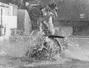 Historical Marine Life Images Prints: Riding a Dolphin