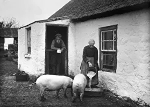 Early 1900s Photographs Prints: The Rint Payers