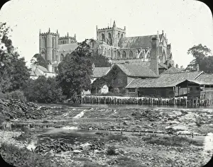 Cathedrals In England Prints: Ripon Cathedral