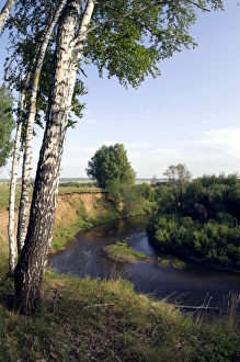 River Sinara bend - birch trees on the high bank River Sinara bend - birch trees on the high bank