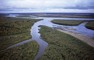 River Taz with sand-shelves, old river beds & islands River Taz with sand-shelves, old river beds & islands