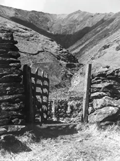 Prints of A glimpse of the rocku track leading up to Blencathra (Saddleback), from Gategill, near Keswick, Cumbria, England. Date: 1960s Cumbria Prints: Road to Blencathra Print, Cumbria, England, 1960s