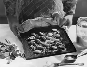 Historical Food Images Prints: Roasted Hazel Nuts