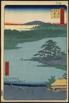 Robe- (or scarf) hanging pine, Senzoku pond Robe- (or scarf) hanging pine, Senzoku pond