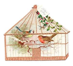 Robin and blue tit in a cage on a cutout New Year card Robin and blue tit in a cage on a cutout New Year card
