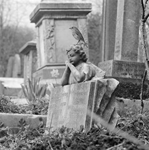 A robin perched on the sculpture of a child leaning on an open book A robin perched on the sculpture of a child leaning on an open book