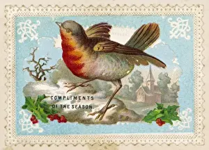 Robins Prints: Robin in Winter Print
