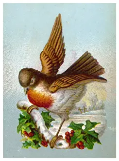 Robin In Snow Prints: Robin with Winter Scene