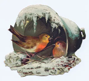 Robins nesting on a bell-shaped Christmas card Robins nesting on a bell-shaped Christmas card
