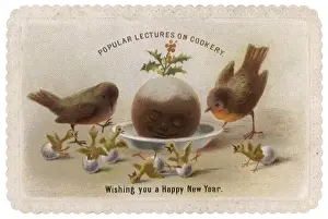 Mary Evans Print: Two Robins Explain Christmas