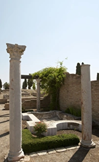Roman city of Italica. House of the Birds. Spain Roman city of Italica. House of the Birds. Spain