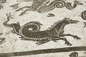 Roman city of Italica. House of Neptune. Spain Roman city of Italica. House of Neptune. Spain