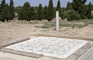 Roman city of Italica. Mosaic at the Domus of Neptune. Spain Roman city of Italica. Mosaic at the Domus of Neptune. Spain