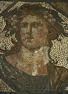 Roman floor mosaic. Antonine Period. Alemdar (Istanbul) Roman floor mosaic. Antonine Period. Alemdar (Istanbul)
