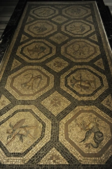 Roman floor mosaic. Cos (Istankoy). 2nd century AD Roman floor mosaic. Cos (Istankoy). 2nd century AD