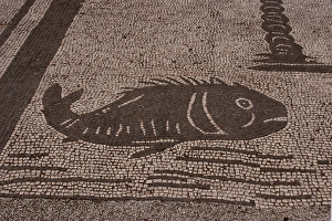Roman mosaic. Fish. Ostia Antica. Italy Roman mosaic. Fish. Ostia Antica. Italy