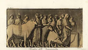 Roman suovetaurilia or suovitaurilia sacrifice ceremony Roman suovetaurilia or suovitaurilia sacrifice ceremony