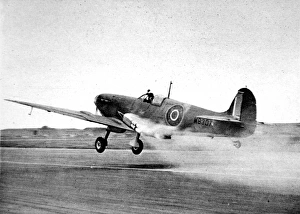 Royal Navy Seafire taking off; Second World War, 1944 Royal Navy Seafire taking off; Second World War, 1944