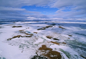 RUSSIA - Arctic tundra, melting snows, tundra of RUSSIA - Arctic tundra, melting snows, tundra of