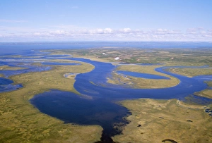 RUSSIA - semi-tundra aerial view of taiga RUSSIA - semi-tundra aerial view of taiga